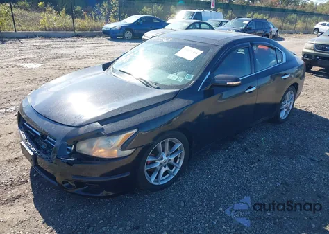 2011 Nissan Maxima 3.5 Sv z USA, uszkodzony, nr VIN 1N4AA5AP2BC845210